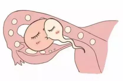 供卵代生机构生殖中心